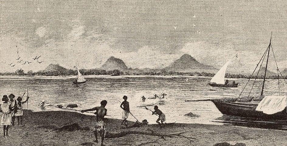 Coastal Life